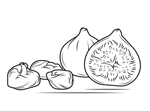 Fresh And Dry Figs Coloring Page